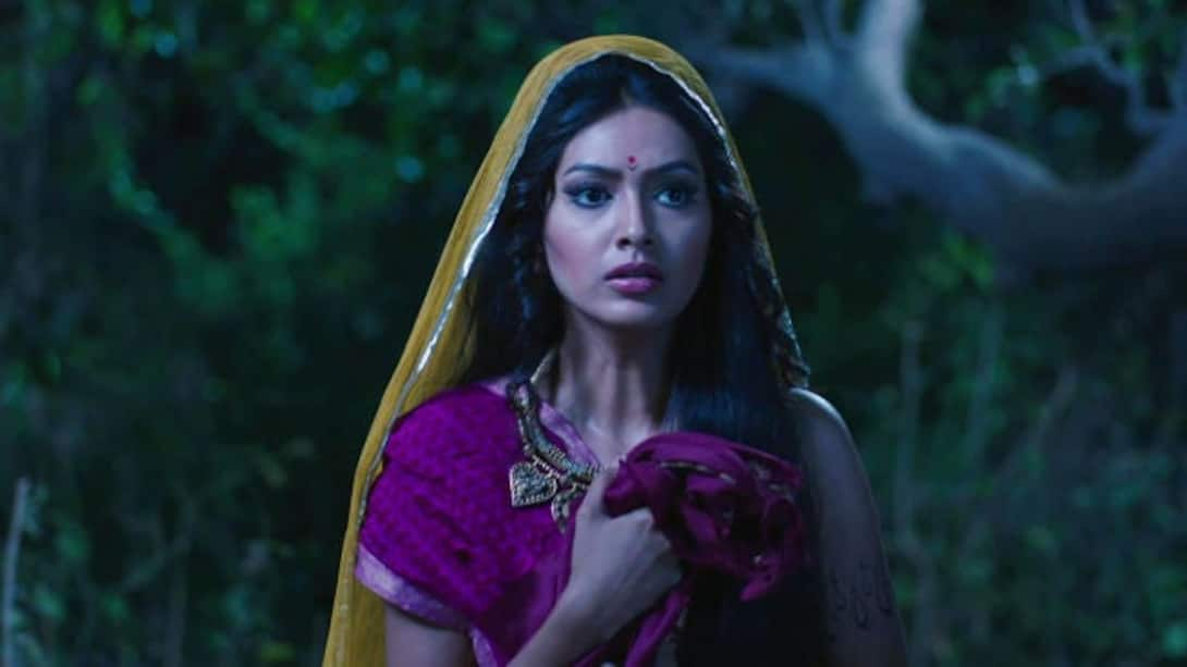 Watch Chakravarthy Ashoka Season 1 Episode 35 : Subhadrangi Is Attacked ...