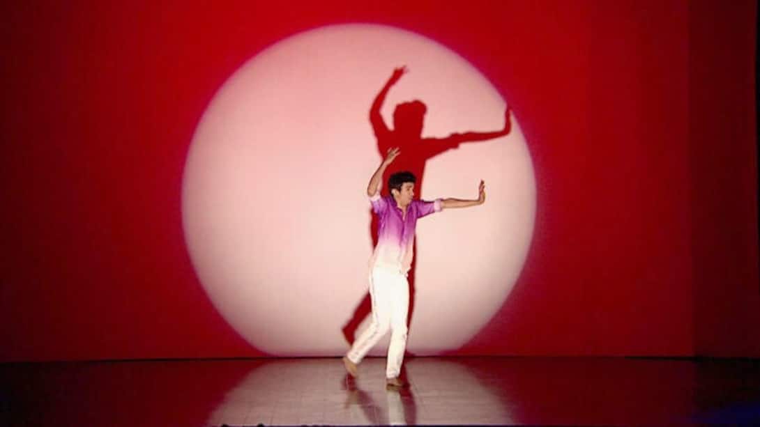 Arya Dongre's stunning shadow dance