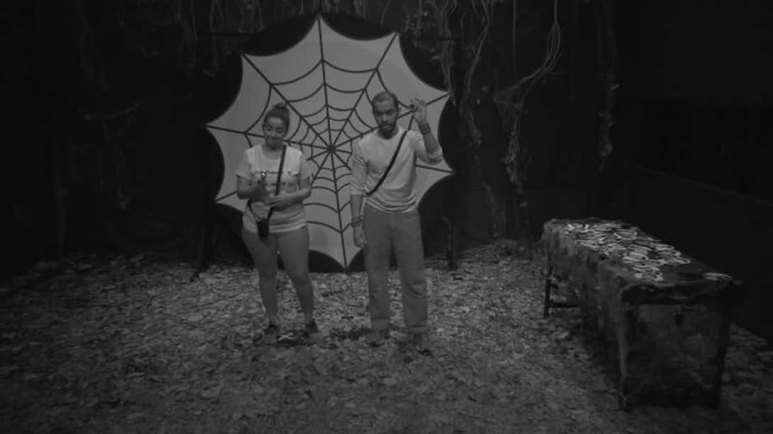 The haunted cave of spiders