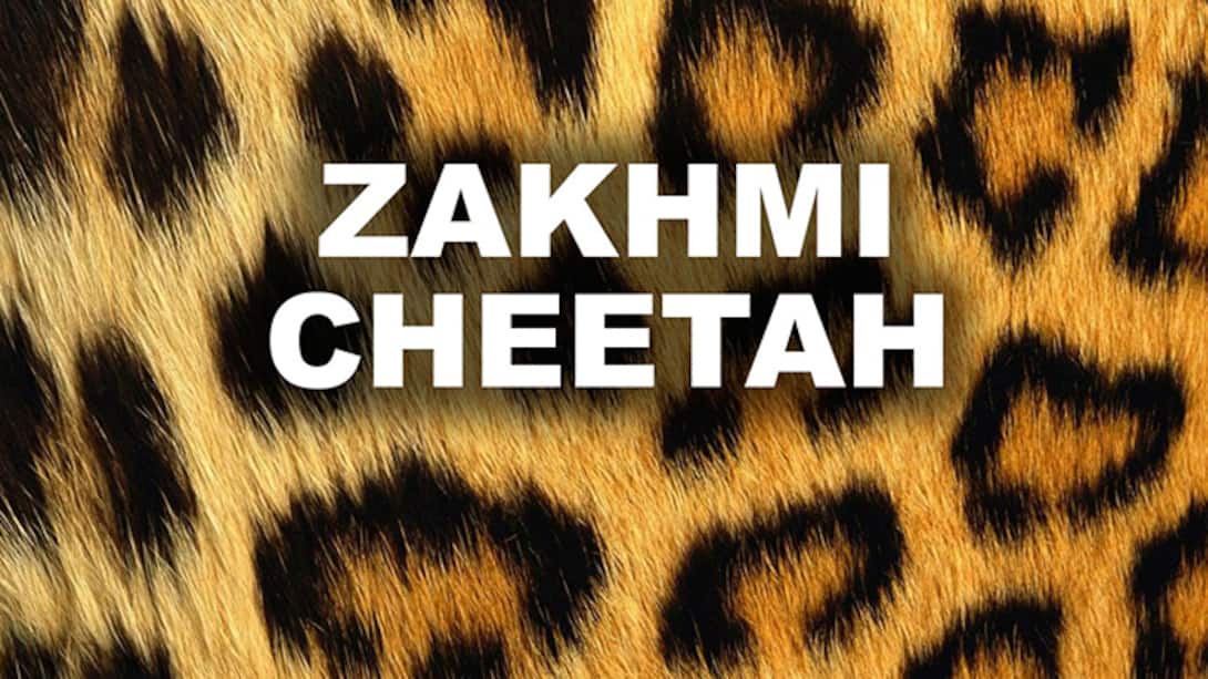 Zakhmi Cheetah