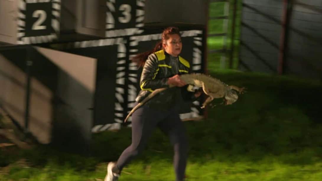 Divyanka picks up an iguana