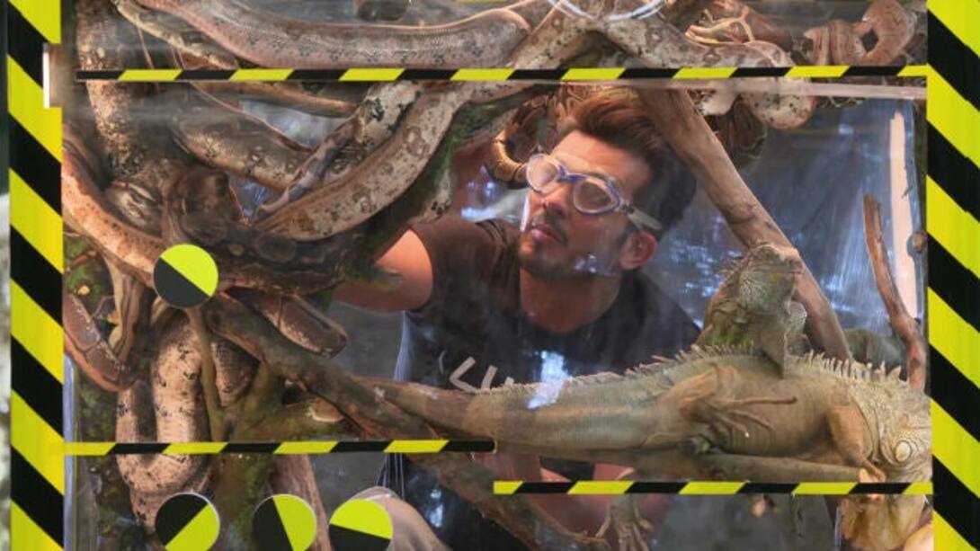 Arjun's sneaky snake task