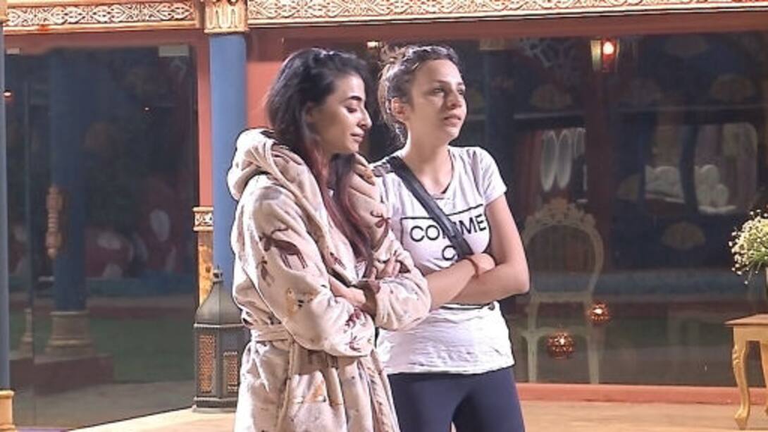Highlights Day 77: Bani's 'Q and A'