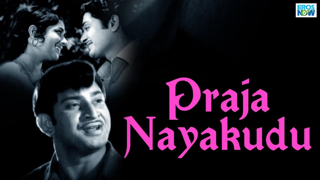 Praja Nayakudu