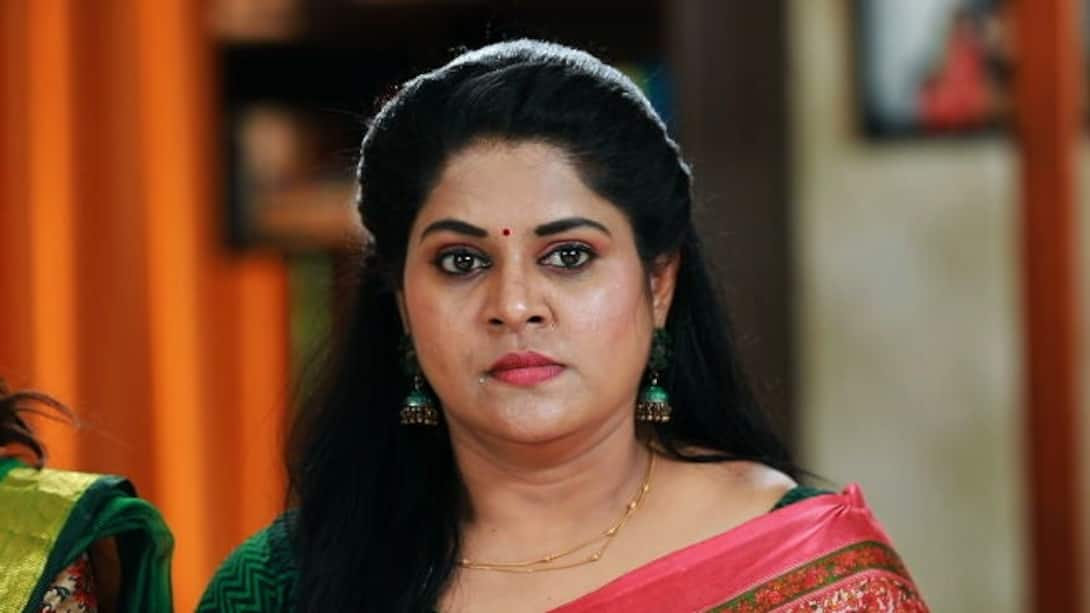 Watch Valli Thirumanam Season 1 Episode 233 : Vanathi And The Team ...