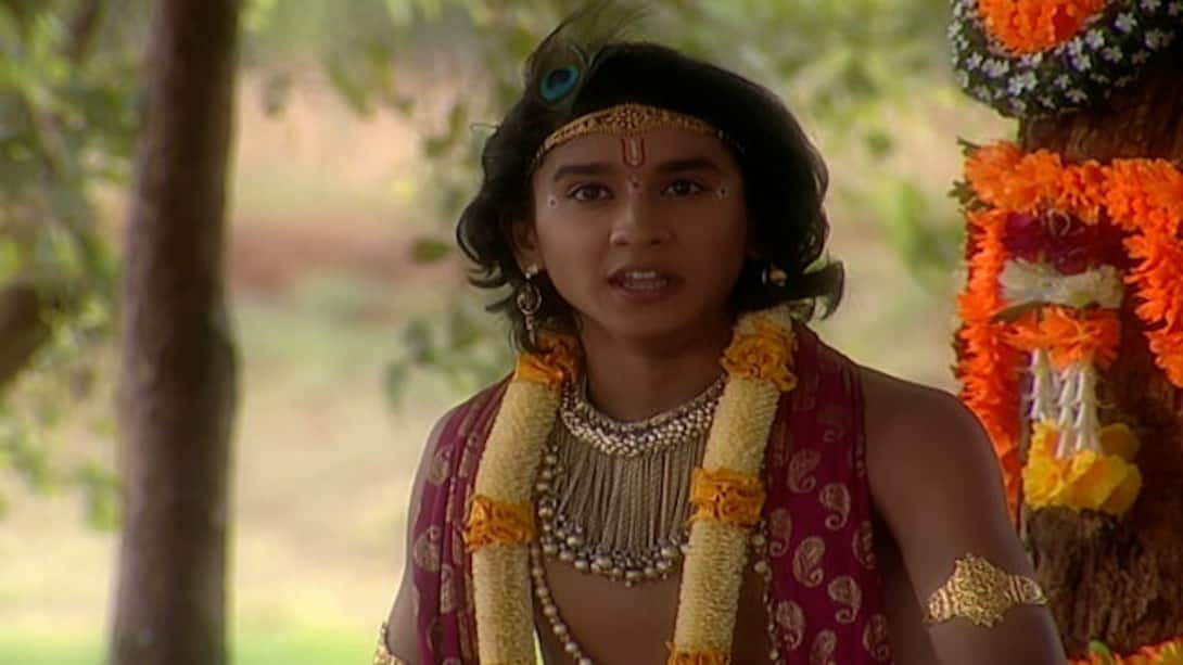 Jai Shri Krishna Gujarati Watch Season 1 Episode 237 Shukracharya s message to Kans on JioCinema