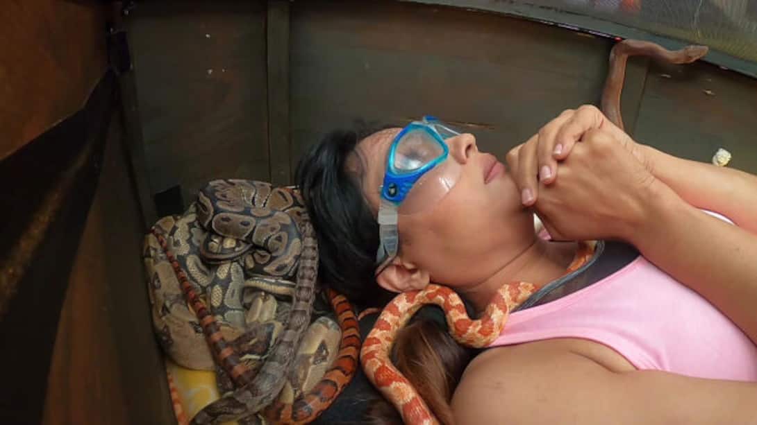Shweta gets buried with snakes