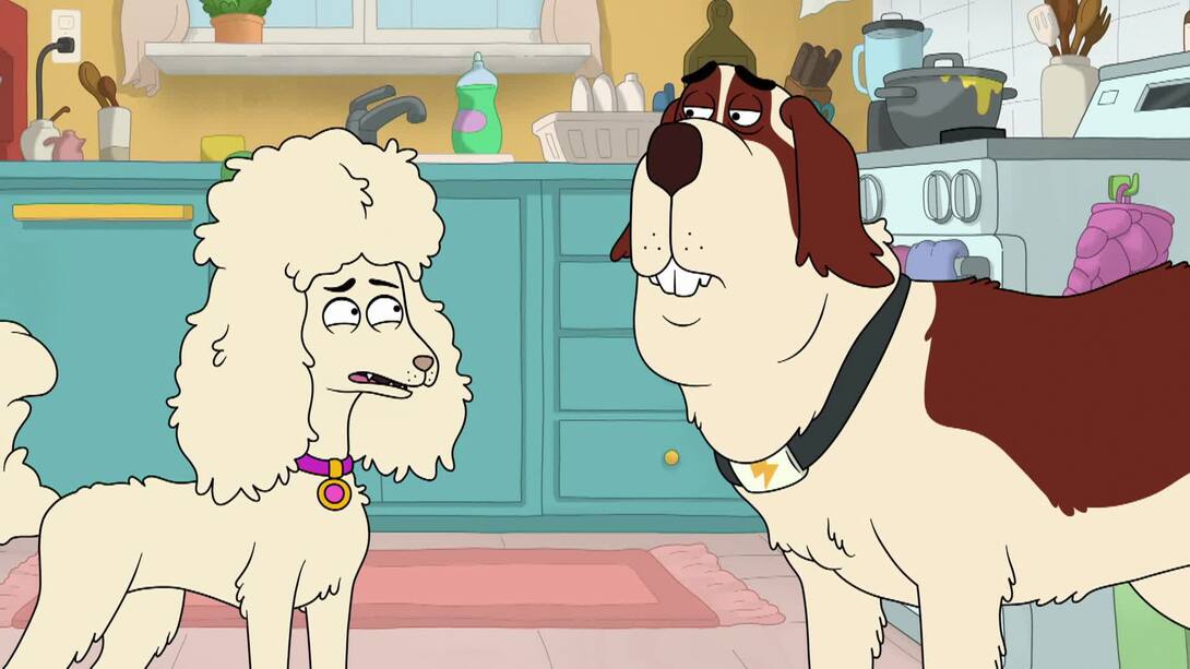 American dad season 13 hot sale episode 13 watch online