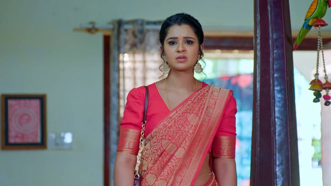 Watch Ramachari Season 1 Episode 445 Will Charu Catch Hold Of Vyshaka