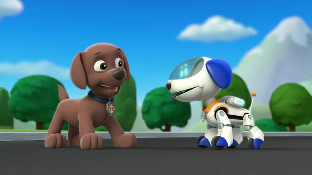 Pups save Ryder's robot
