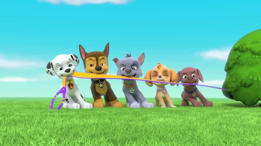 Watch Paw Patrol Season 3 Episode 3 : Pups Save A Goldrush - Watch Full ...