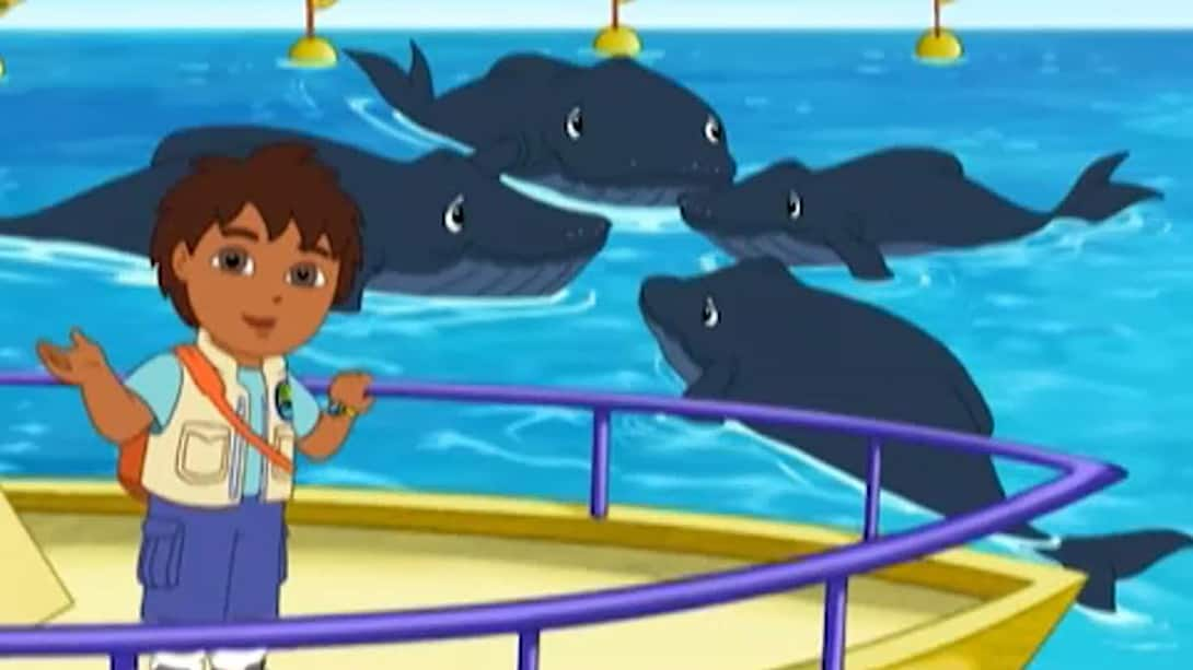 Watch Go, Diego, Go! Season 2 Episode 2 : Diego And Baby Humpback To ...