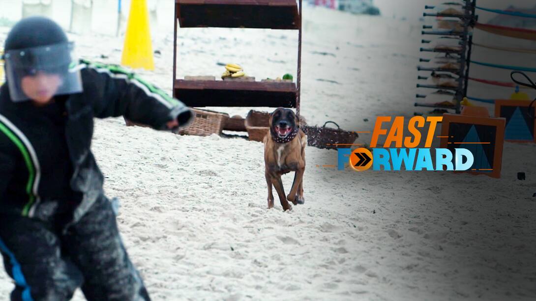 Aishwarya's dog stunt
