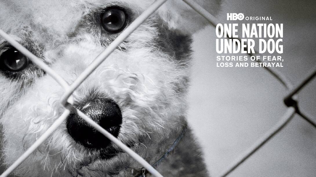 One Nation Under Dog: Stories of Fear, Loss, & Betrayal