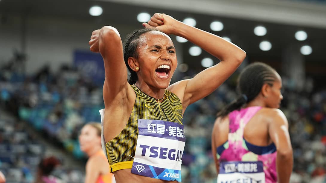 Tsegay Bags Gold And MR