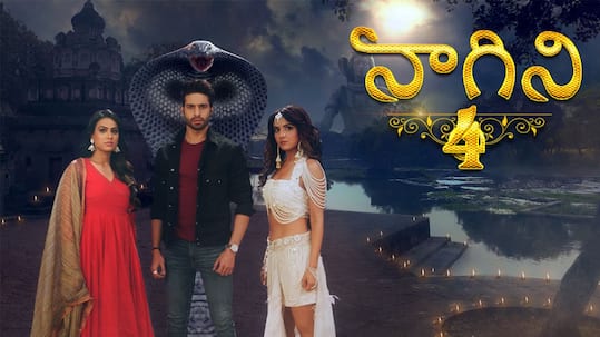 naagin 4 voot