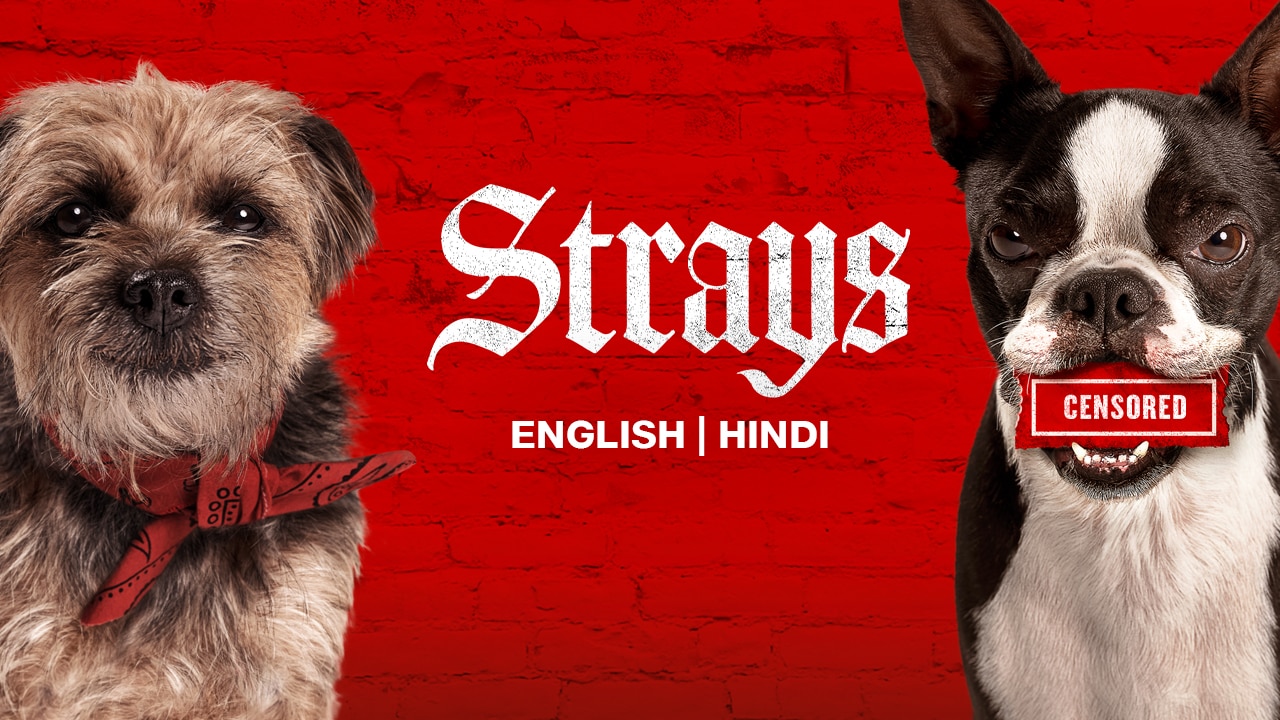 Strays (2023) English Movie Watch Full HD Movie Online On JioCinema