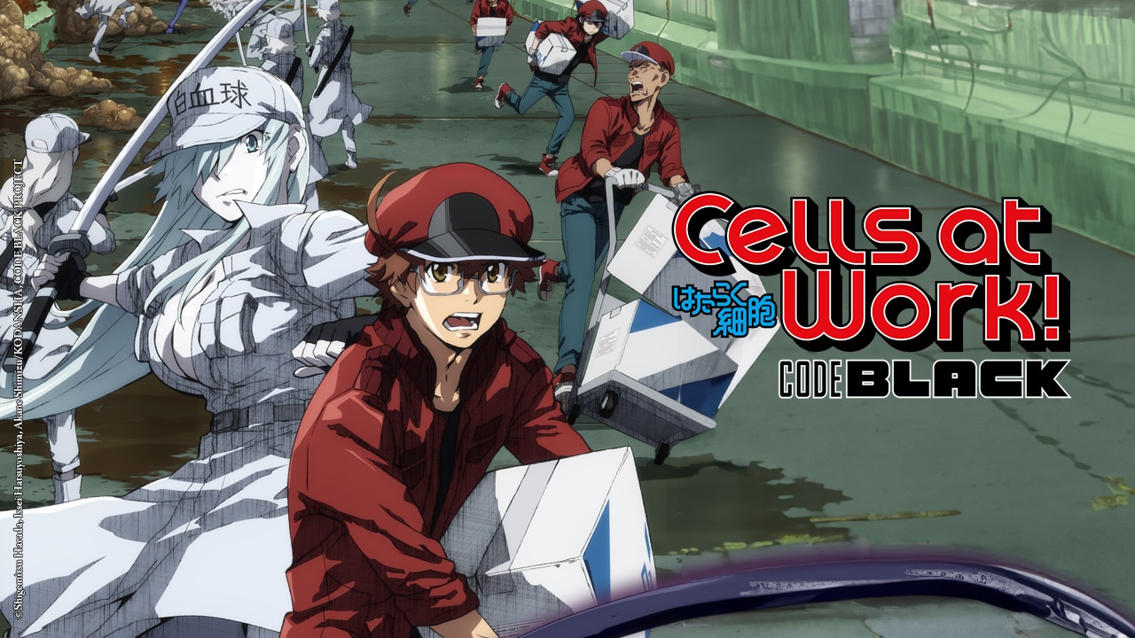Cells At Work! Code Black: Watch Cells At Work! Code Black Anime's - How Many Episodes Of Cells At Work Code Black