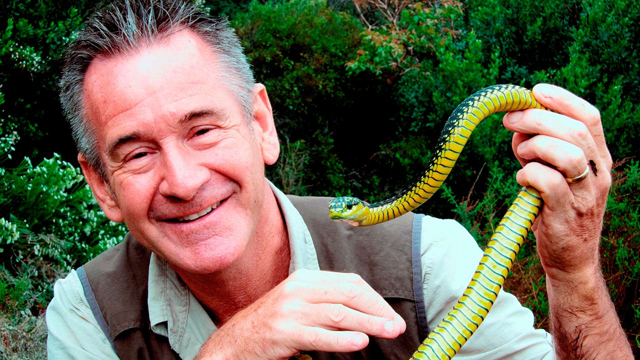 NIGEL MARVEN: TEN DEADLIEST SNAKES | Watch Documentary Series NIGEL ...