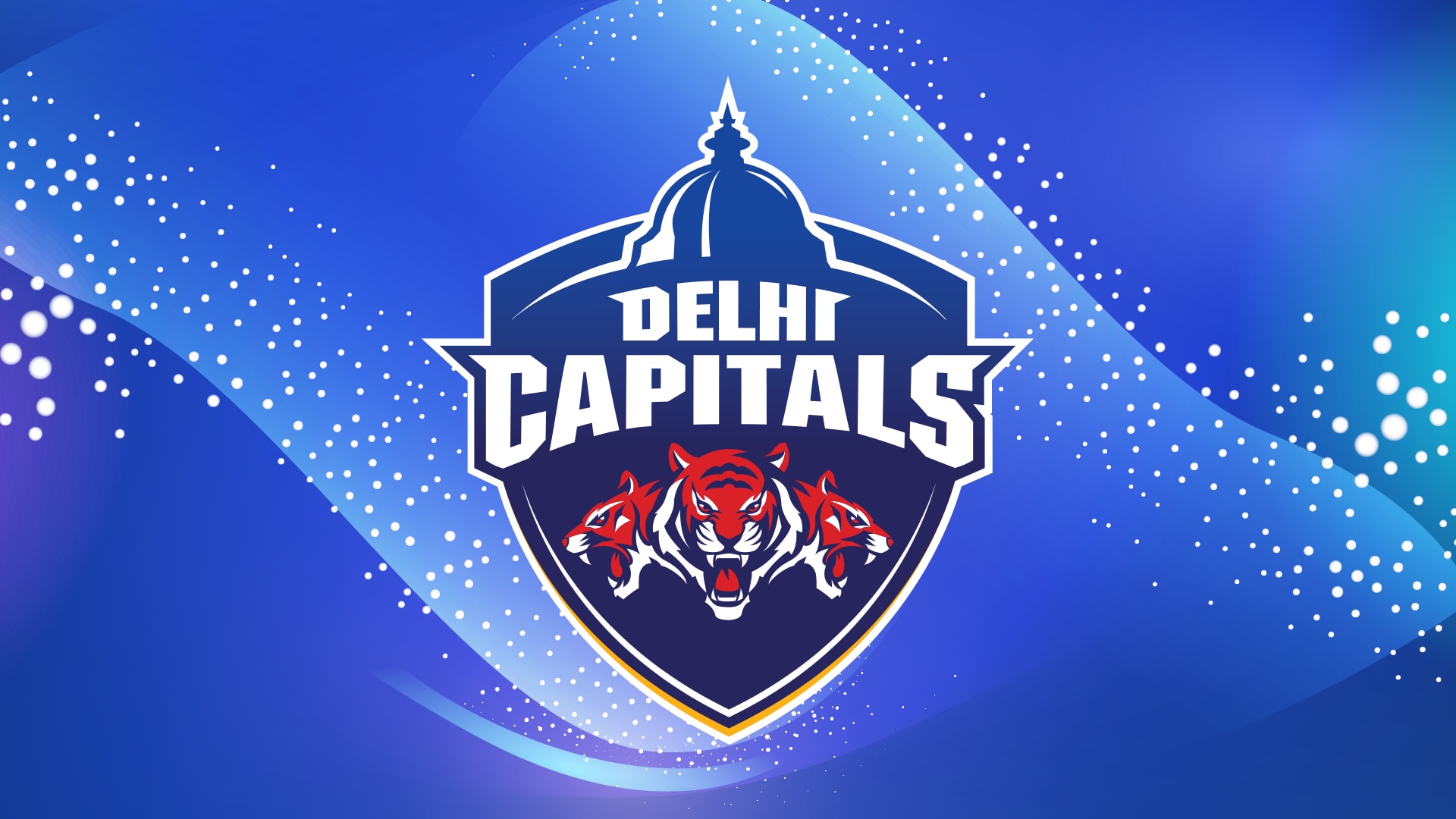 Delhi Capitals - Women Tv Show: Watch All Seasons, Full Episodes 