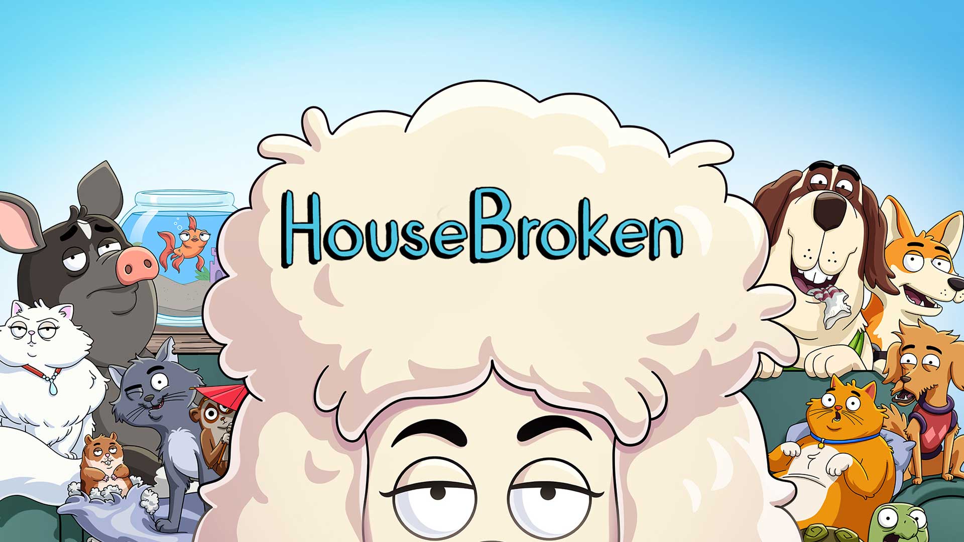 What Does Housebroken Mean For A Dog