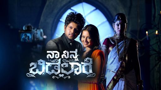 Naa Ninna Bidalaare TV Show: Watch All Seasons, Full Episodes & Videos ...